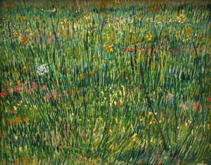 Patch of grass
